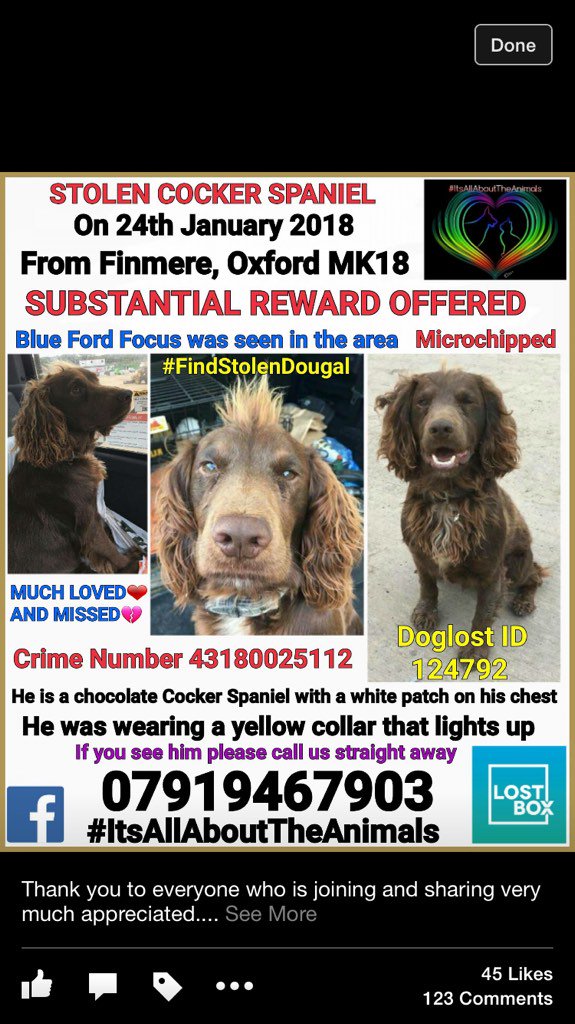 RachaelB100's tweet photo. @P_Wicks01 just seen on FBk Dougal has been found #FindStolenDougal 🎉 fantastic news https://t.co/rPF7QlsFvh
