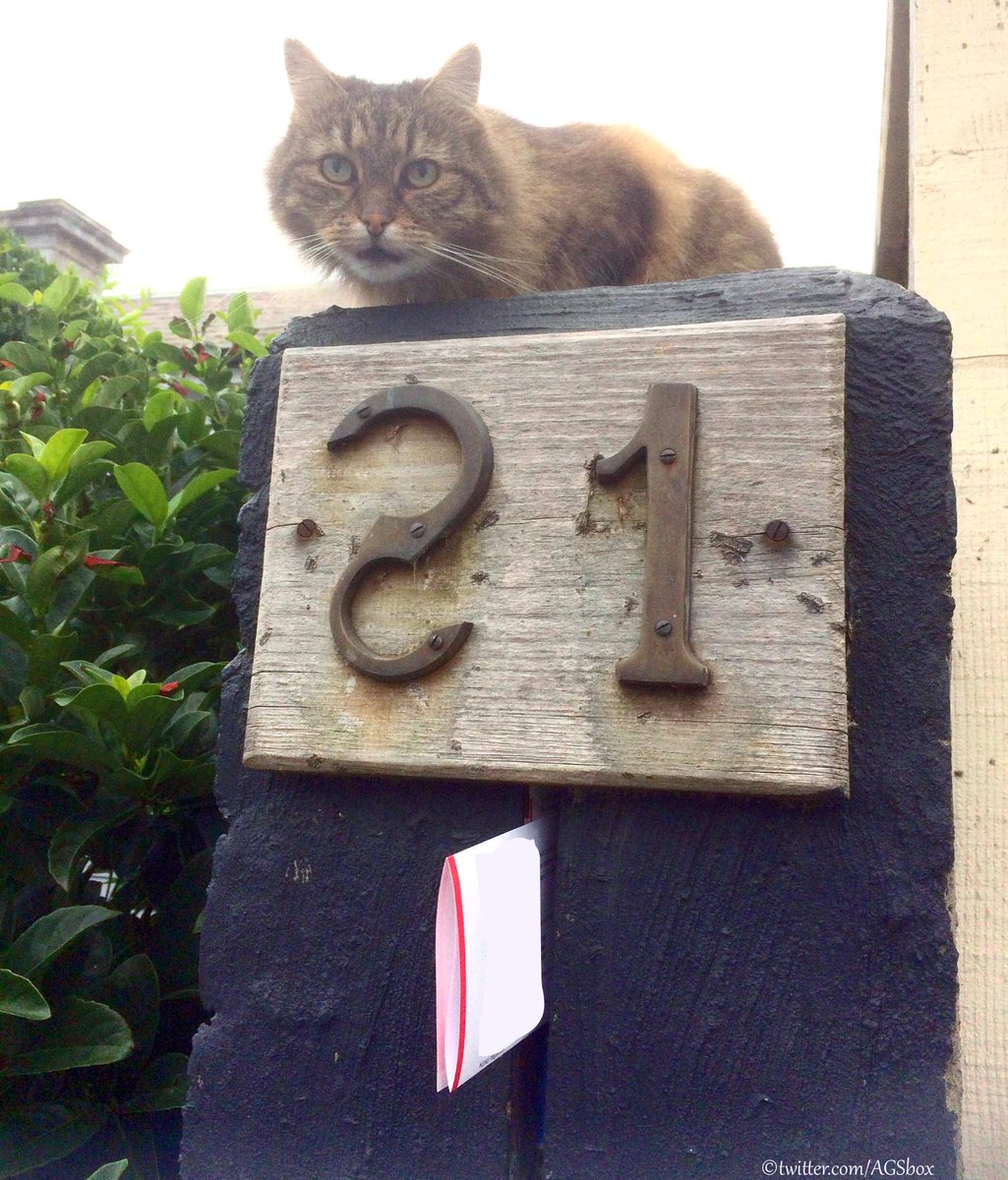 Mailbox (@agsbox) on Twitter photo 