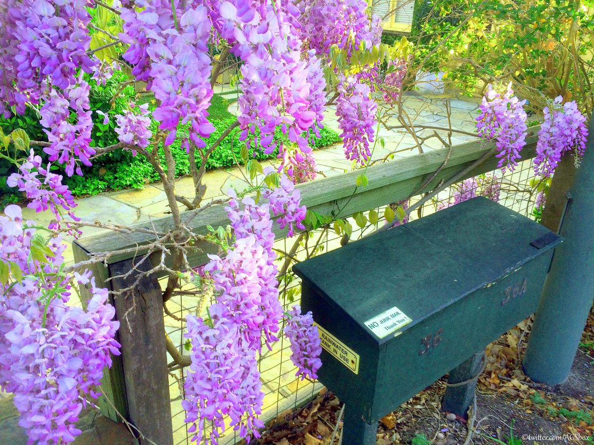 Mailbox (@agsbox) on Twitter photo 