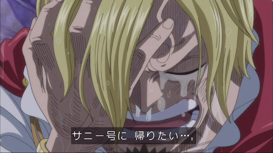 アニメ偉言 5 ウソつき ルフィとサンジ ワンピース 名言