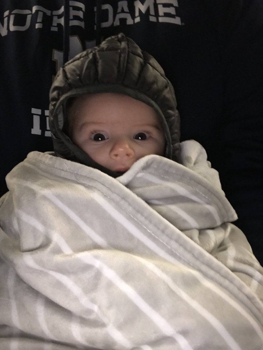 kellyc9344's tweet image. Second Irish hockey game of his life and he’s hooked! #irishvision ☘️ #just9weeksold