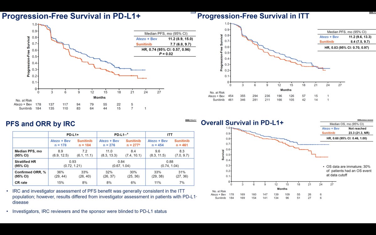 Dr Motzer presents the IMmotion 151 data. His conclusions show that these results support the use of Atezolizumab + beva as a first line treatment option in RCC