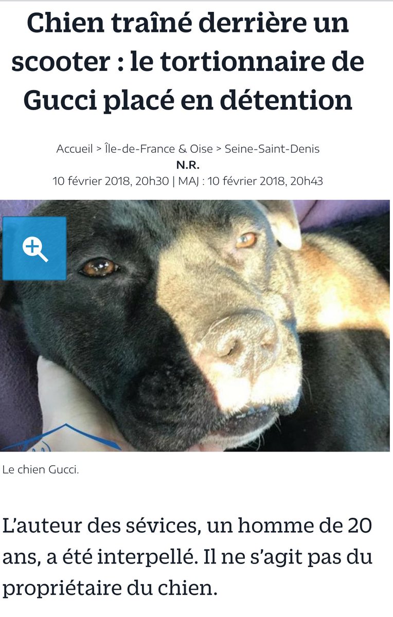 courbet_julien's tweet photo. RT La meilleure nouvelle de la semaine 👏🏻👏🏻👏🏻👏🏻👏🏻 que les prochains réfléchissent #cruautéanimal https://t.co/hyI3RYeFBm
