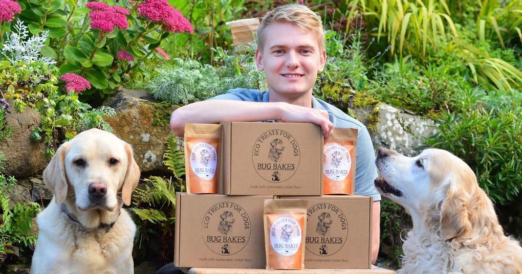 4entoFEED's tweet photo. How dog lover Ross was bitten by the business bug for new venture - Daily Record https://t.co/fuGug8OZTk https://t.co/THMkgSjqL1