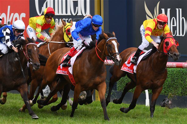 Goldners tweet media