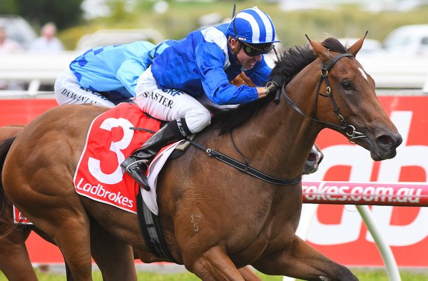 Goldners tweet media