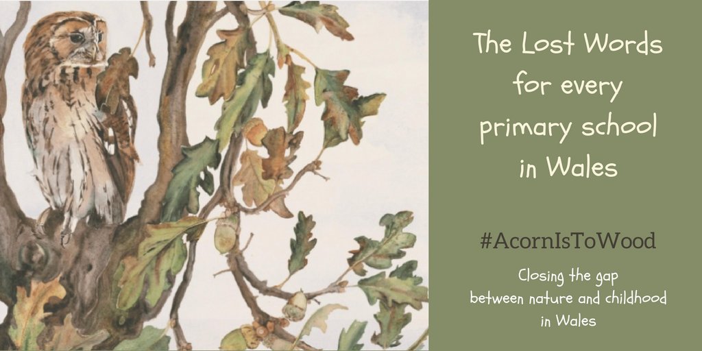 Seventy6Social's tweet image. So excited to tell you about #AcornIsToWood - a mission to get a copy of the spellbinding book #TheLostWords into every primary school in Wales and help close gap between nature and childhood.