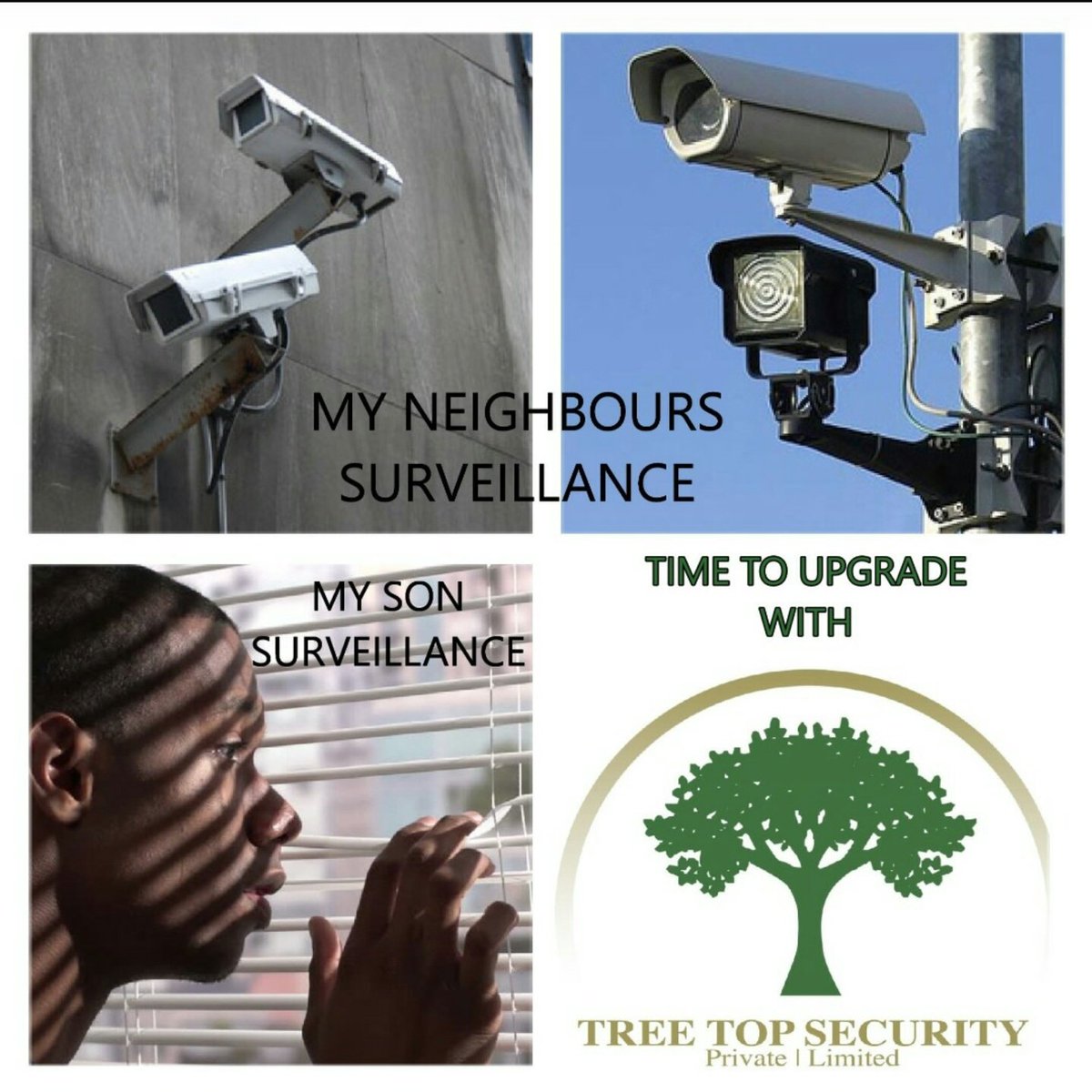 Tree Top Security tweet media