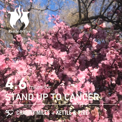 ABookAffair's tweet photo. 4.6 @CharityMiles for @SU2C. Thanks to @kettleandfire for sponsoring me. #EveryMileMatters #MoveWithPurpose #CharityMiles #365ForFSF https://t.co/d3OYe0a9q2