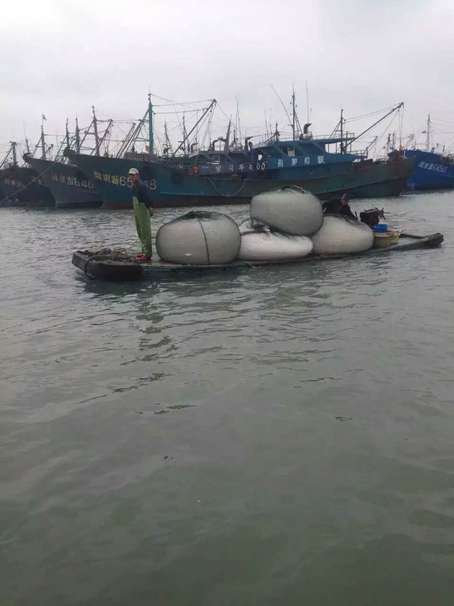 Kerunde Refrigeration Equipment Co.,Ltd. serves the coastal fishermen of the port city! Provide more fresh seafood for the general public .

 In 3-5 years, we will remould existing brine ice plants in coastal ports in China, Southeast Asia, Africa and South America.