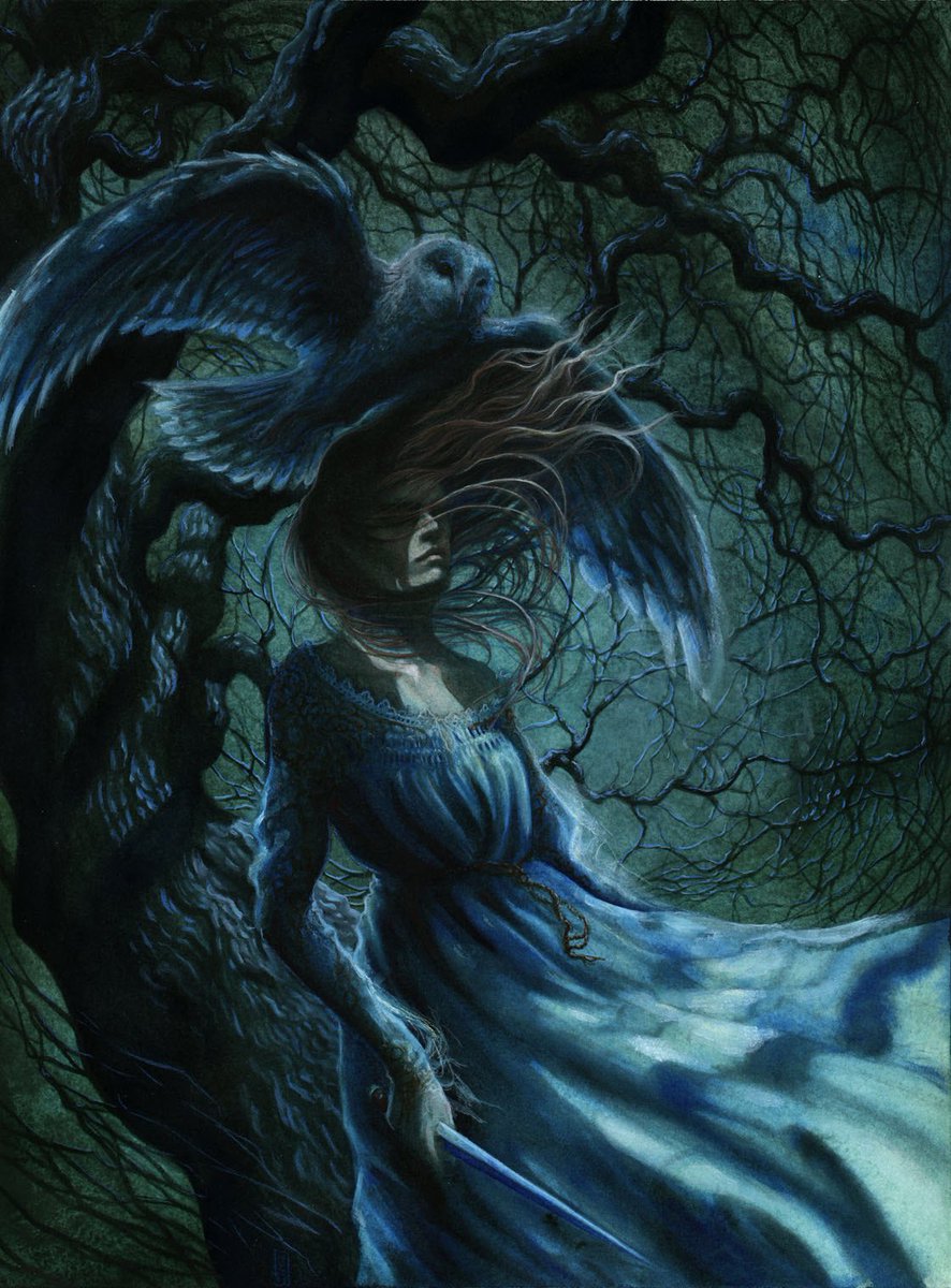 Indie Book Shelf tweet media