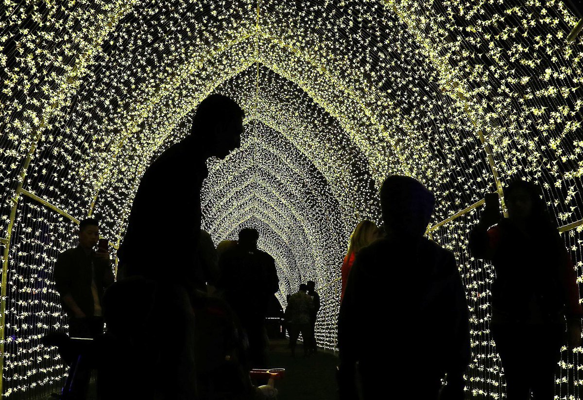 UAE_Network's tweet image. بالصور | مهرجان أضواء الشارقة 2018 
#شبكة_الامارات_الاخبارية