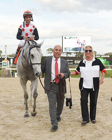 BH_AEberhardt's tweet photo. Champion #WorldApproval with John Velazquez wins G3T #TampaBayStakes @TampaBayDownsFL 
@markecasse trains the homebred for Charlotte Weber's Live Oak Plantation. #SVPhotography Updates on horses that went down and more @bloodhorse @BH_AHughes https://t.co/213rsYGRO3