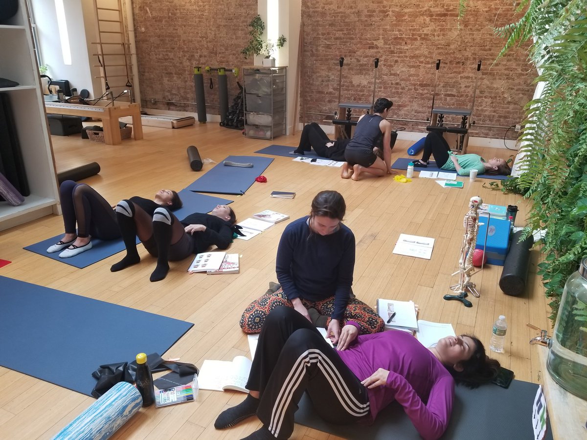 JoyKarley's tweet photo. Trainees hard at work learning their @Balanced_Body movement principles @studio26nyc today. #pilates #studio26nyc #nyc #pilatesmat #teachertraining #mat1 #instructortraining #learntoteach #coreworkout #coreengagement #core #powerhouse https://t.co/EHh39iczNb