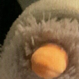 AdamMcCool4's tweet image. #NewProfilePic