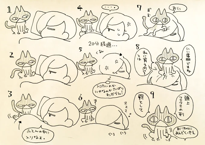 ねこさんが布団の中に頑なに入らないから背中を向けたらフミフミの刑を受けた話 