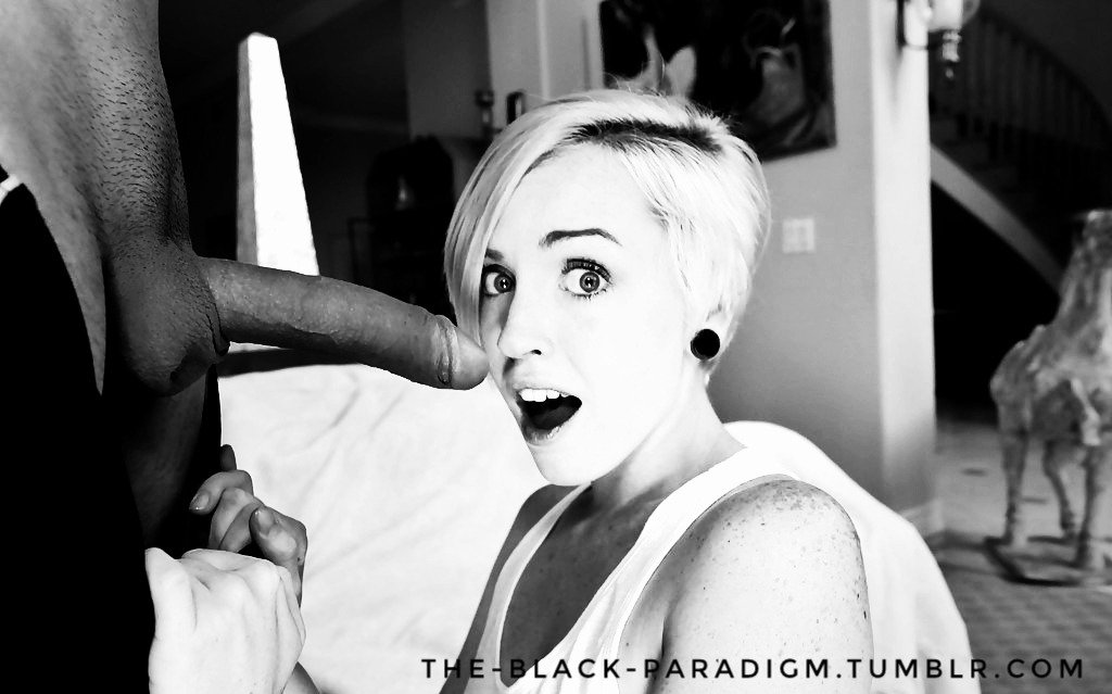 black_paradigm's tweet photo. #sissy #sissification #feminization #shemale #caption #gay #faggot #bbc #blacksupermacy #queenofspades #pantyhose #nylon #cuckold #hotwife #bdsm #kink #saynotowhiteboys #blackonly #bbconly #bigblackcock https://t.co/30yYMDPUuP
