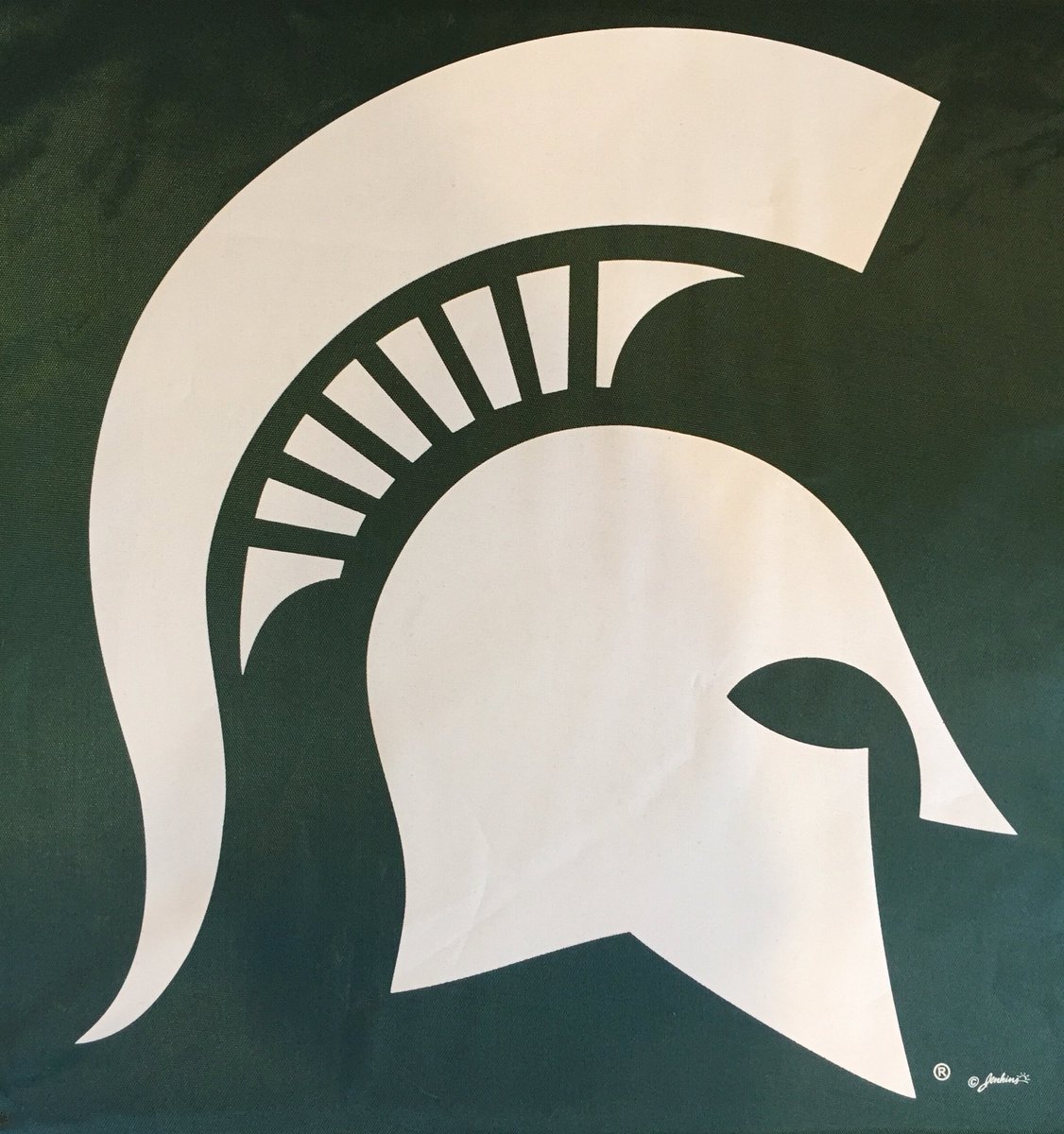 chicagospartans's tweet photo. BIG win today for @MSU_Basketball!! @MilesBridges01 was awesome but don’t forget about #ChicagoSpartan @G_Schills34. Terrific defense and minutes off the bench. #ForJud #GoGreen https://t.co/GBBpSCpsVF