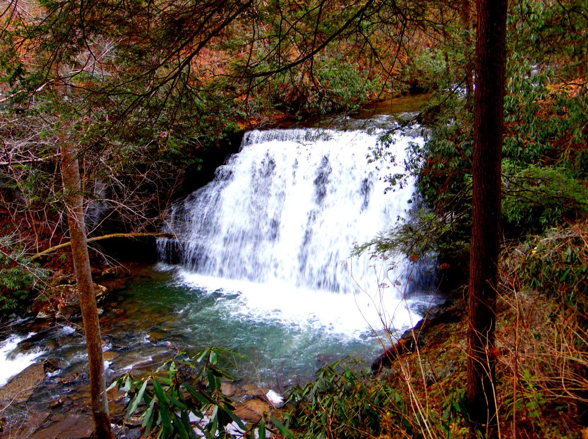 The Little Stony Creek National Recreation Trail, beautiful any time of year! #JeffersonNationalForest #LittleStonyFalls #SWVA #VaOutdoors #waterfalls #hiking #NaturePhotography