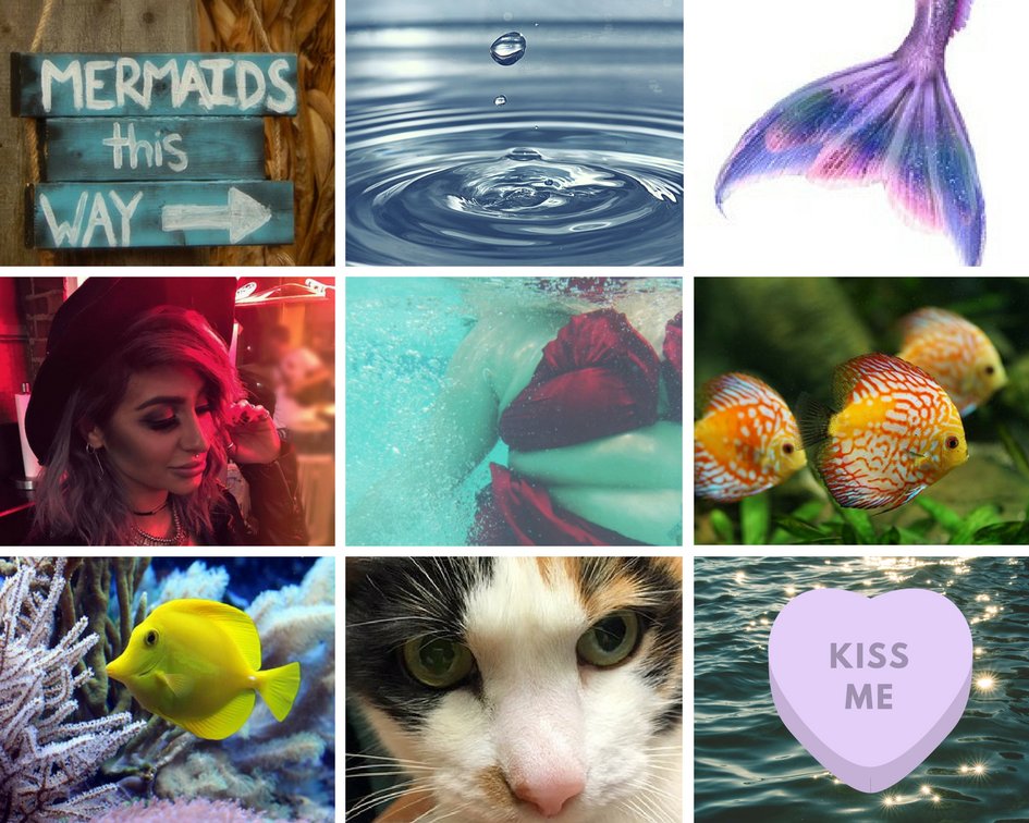 jayleeVT's tweet photo. "Kiss the Girl" by @sarahhollowell 

How is a teenage girl supposed to impress her crush when she can barely string two words together when she's around? What's worse - there's NO WAY Harper will like her back if she finds out that she's... you know... a mermaid. https://t.co/M8vnHeMraO