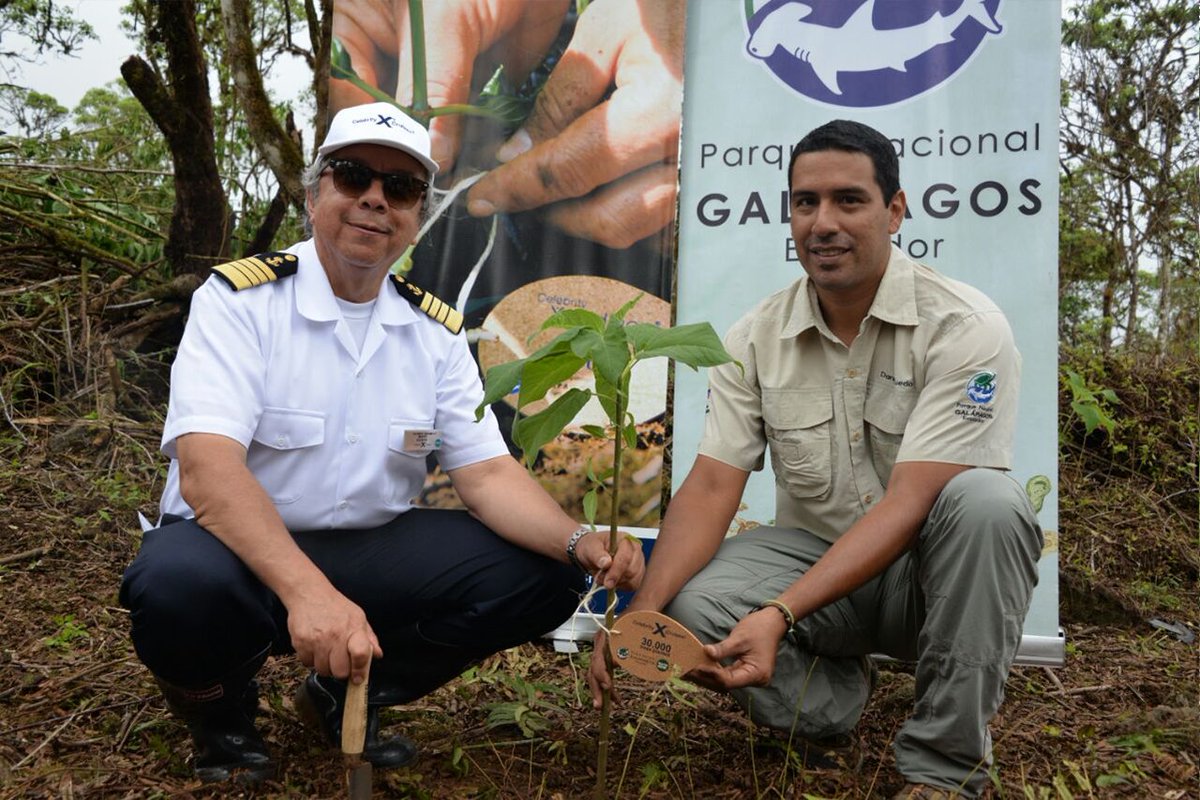 Αποτέλεσμα εικόνας για Celebrity Cruises Plants Over 30,000 New Trees