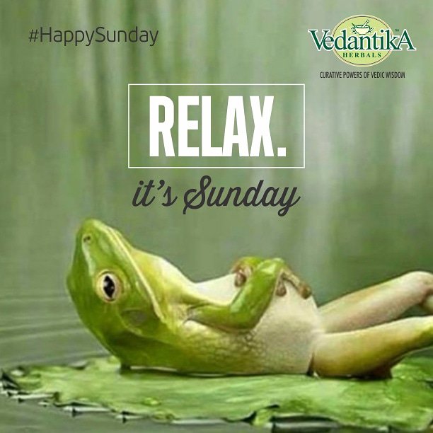VedantikaH's tweet photo. SunDay FunDay 😁 Tag your friends who are Busy on Sunday 😁 ⠀⠀ ⠀⠀⠀ ⠀⠀ ⠀⠀⠀ ⠀⠀ ⠀⠀⠀ ⠀⠀ ⠀⠀⠀ ⠀⠀ ⠀⠀⠀ ⠀⠀ ⠀⠀⠀ ⠀⠀ ⠀⠀⠀ ⠀⠀ ⠀⠀⠀ ⠀⠀ ⠀⠀⠀ ⠀⠀ ⠀⠀⠀ ⠀⠀ ⠀⠀⠀ ⠀⠀ #vedantikaherbals #sunday #sundayfunday #relax #weekend #lol #funny #india #chill https://t.co/5FtN0yL9EA