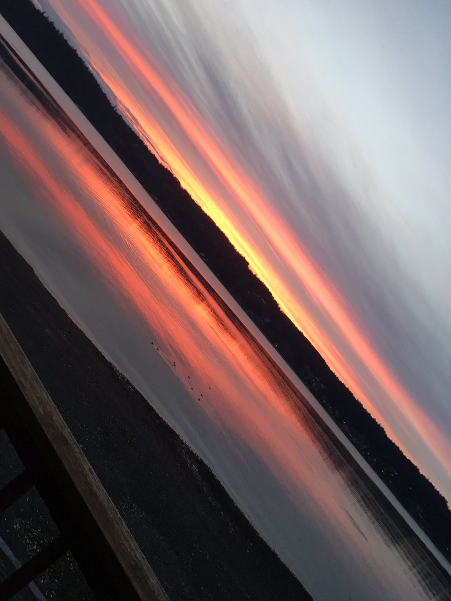 sweetylovegood's tweet image. #nofilter #sunset #brainbridge coucher de soleil à tomber ! #picoftheday #happytime