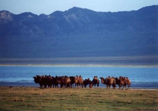 Баянхонгор Богд. Орог нуур
Урт 31.8 км
Өргөн 11.2 км
ДТД- 1276 м