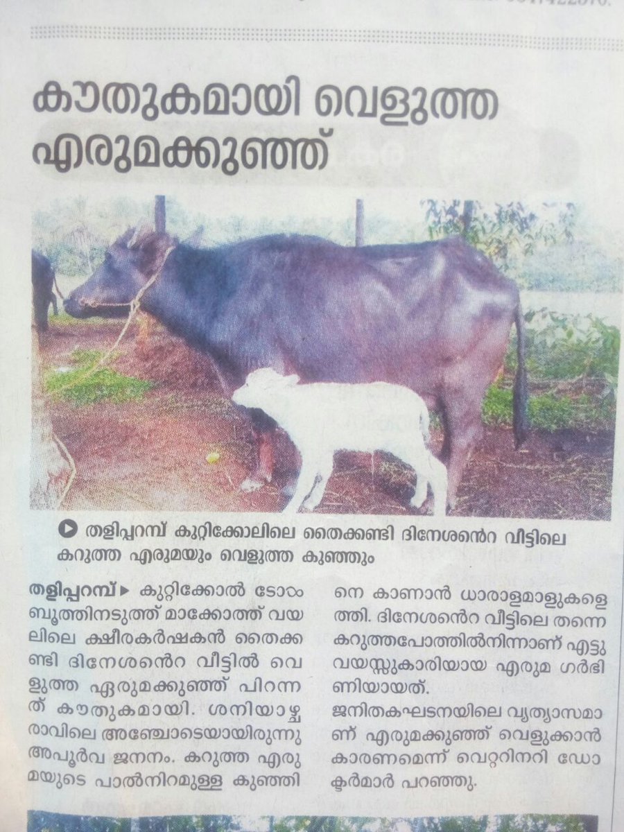 ajith3358's tweet photo. ശിവ... ശ���വ...... കലി കാലം...... https://t.co/sbGY4Stf7P
