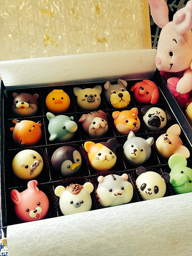 編集部さんにお送り頂いたバレンタインチョコとプーさん🐻💕とお手紙お受け取りしました!ありがとうございます…!
可愛すぎて食べられない😭💕カスタマの2人も有難うございます🙇💕 