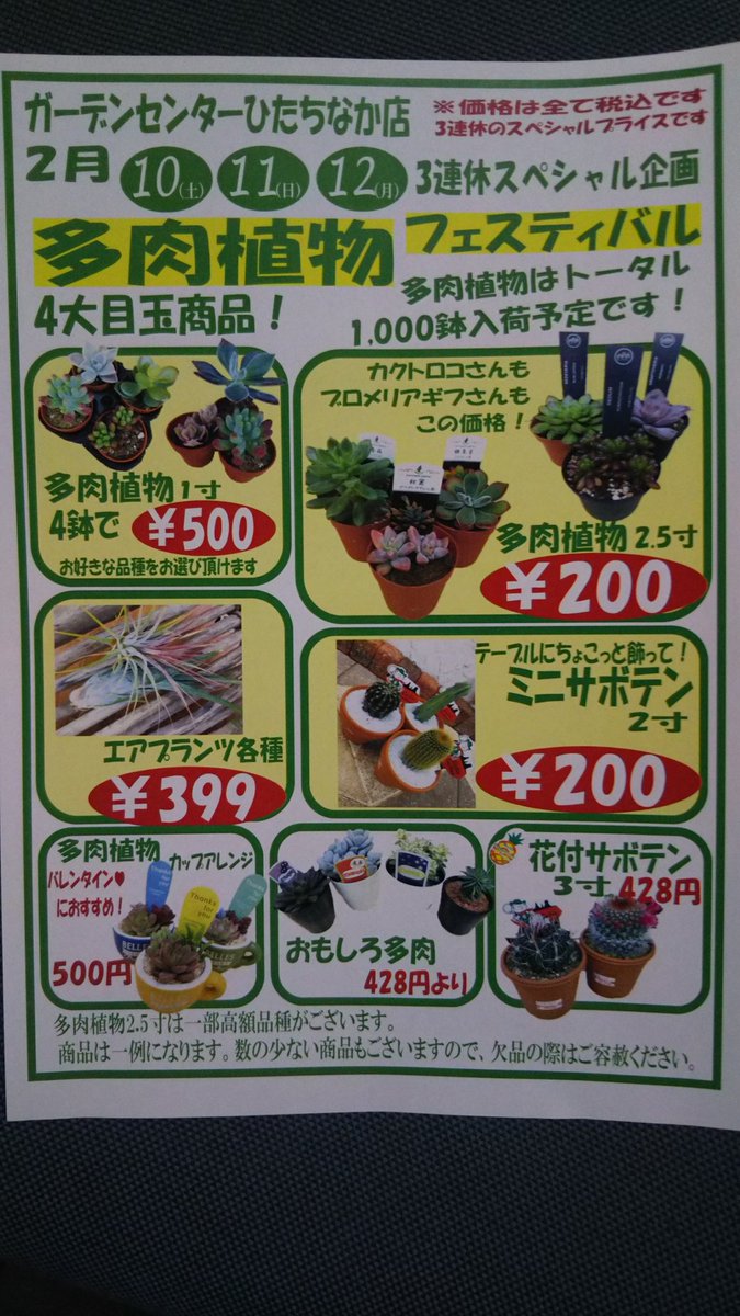 ジョイフル本田 ガーデンセンター ガーデンセンターひたちなか店 茨城 おはようございます 今日は暖かくお買い物日和 今日もやってますよ 多肉植物フェスティバル 本日も 元気に 多肉植物祭りだー 多肉植物 ミニ