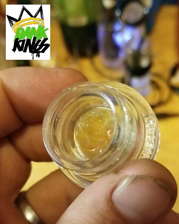 DankKingsCo's tweet photo. End your day with some gourmet... #GourmetGardens live resin sauce that is... delicious crystals... #DankKings #DandyEdibles #GreenDiamond #TeamGreenWellness #NotAllStoners #EducateB4UMedicate #TheSmokeSession #OldSchoolOrganics #MarijuanaintheNews #BudG… https://t.co/WIYvAka1LL https://t.co/vPgkZ7Wqcn