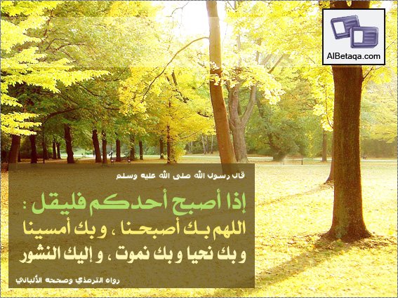 VLabunka's tweet photo. ﷽✨﴿قل هو اللَه أحد ۝✨اللَه الصَمد ۝✨لم يلد ولم يولد ۝✨ولم يكن له كفوا أحد ۝﴾✨

#درر #درر_الكلام #دعاء #قران #اسلاميات #ايمانيات #موعظة #حكمة #اقوال https://t.co/JzhwefWIfg