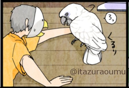「やれやれ仕方ないなぁ」みたいな対応でした。 