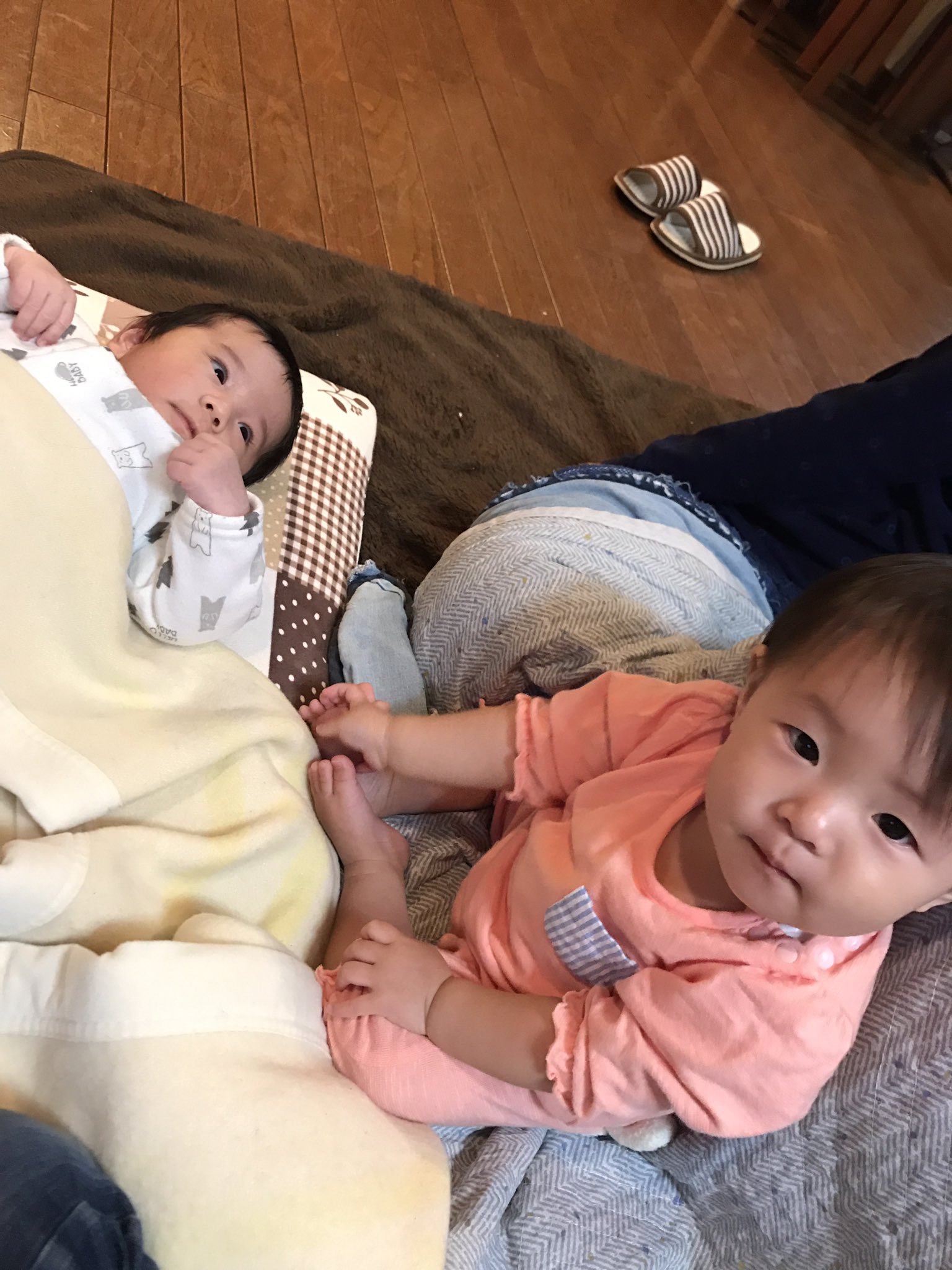 M 子供の可愛さ感無量 いろんな赤ちゃんあいたい けいちゃんも4ヶ月すぎてでかいし体もしっかりしてきたしちっちゃい子ふれあいの会させたいいわ T Co Yxh55i2fdv Twitter