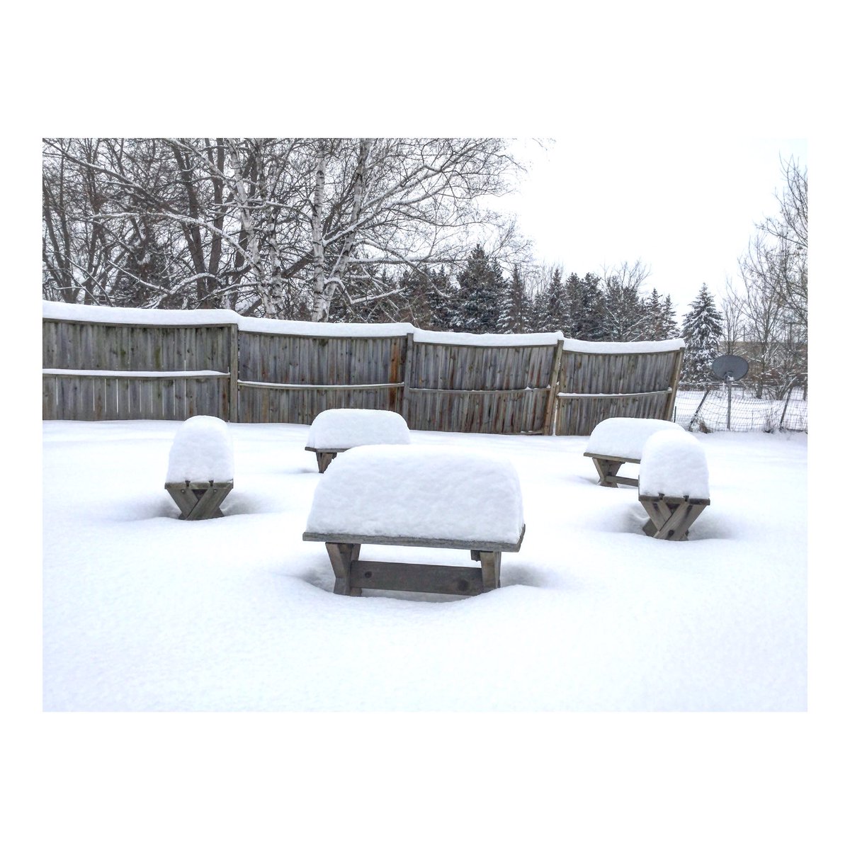 ImBrianCollins's tweet photo. #PureMichigan #SnowPics #WinterStormMateo ❄️❄️ https://t.co/gnz5yO6bA2