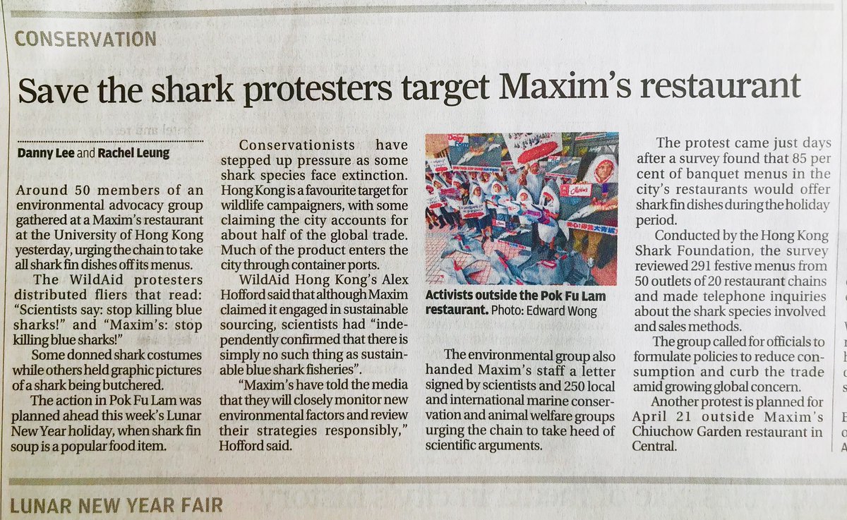 WildAid Hong Kong tweet media