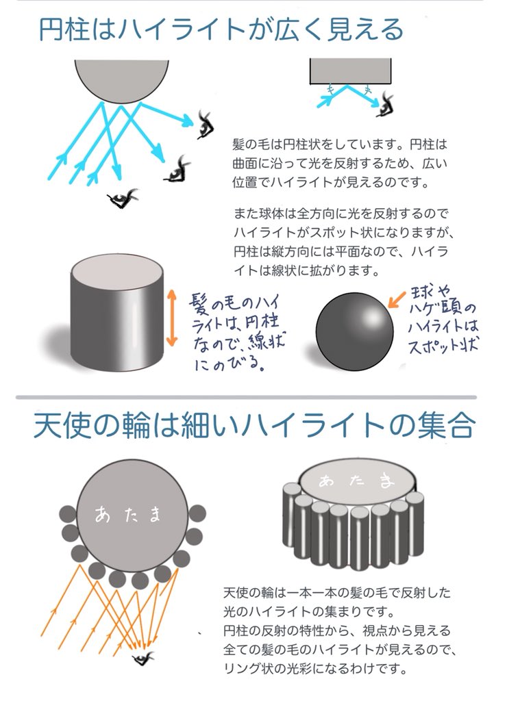 Decodu Auf Twitter きれいな髪の毛にできる光沢 天使の輪 がどうしてもリアルに描けません 理屈っぽい人間なので 天使の輪ができる原理を調べてまとめてみました 描き方 イラスト講座 Illustration Procreate イラスト基地 イラストの森 絵描きさんと