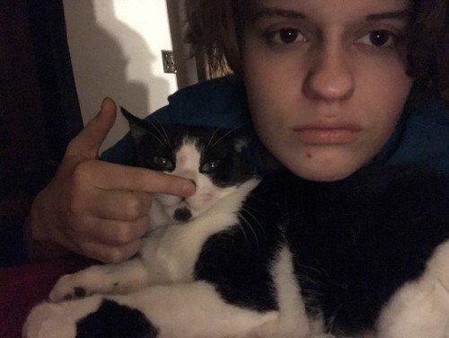 cutecatees's tweet photo. Awseome caturday t-shirts : https://t.co/MqYXa2JmVE #cats #cat #kitten #kitty #cutecat #cutecats #kittens #catsoftwtitter https://t.co/Vc1oWQOpoc