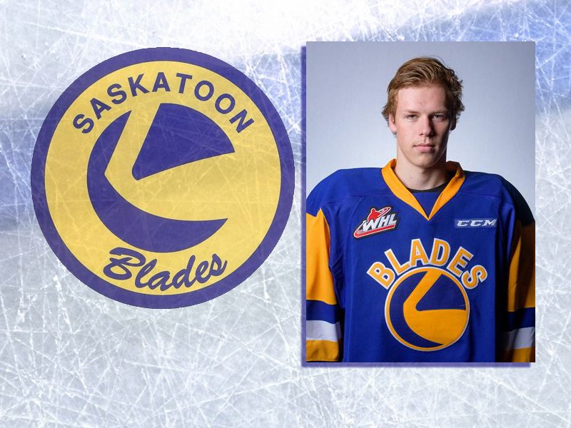 "Monkey See, Monkey Do" Blades Rally Past Raiders dlvr.it/QFtQ5f https://t.co/fEeQ4kzq4P