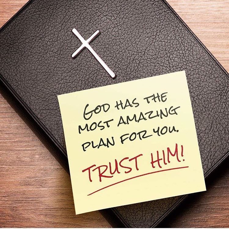 Bible Posts tweet media