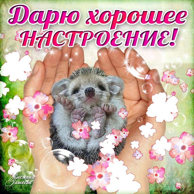 Открытка прикольная с хорошим настроением, картинки аватарка рисуем