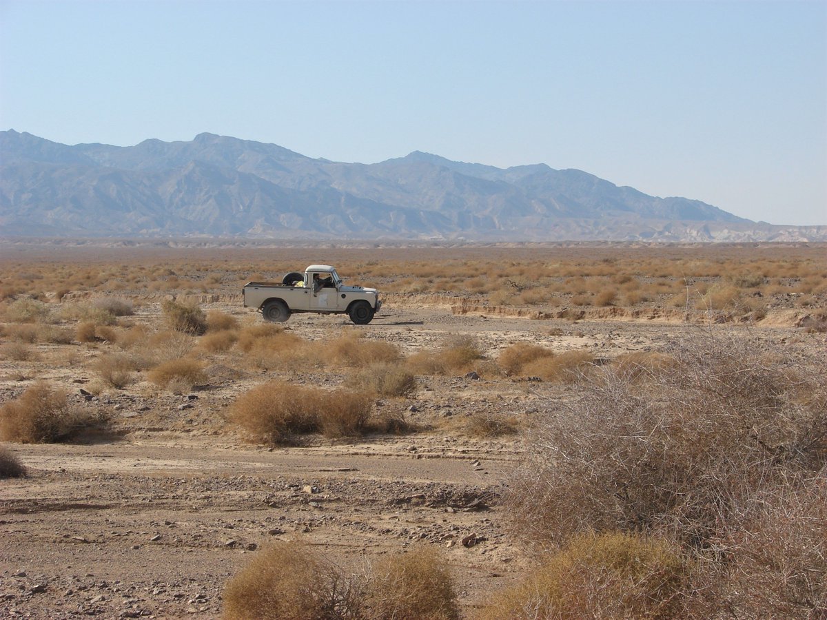 Ehsan Moqanaki tweet media