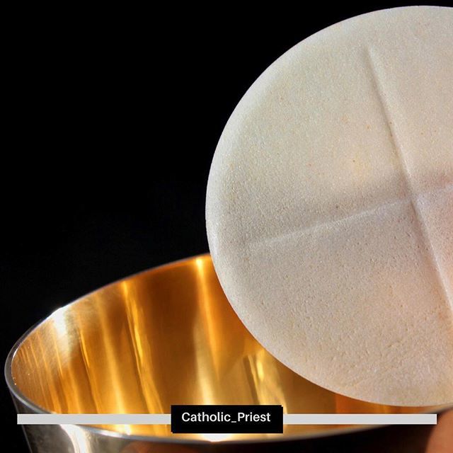 Catholic_Priest's tweet photo. "Without the Eucharist, the Church simply does not exist." - #PopeEmeritusBenedictXVI
.
📸 Holy Mass/Piotr Slizewski/Adobe Stock #SacredArtandImages
.
.
#justprayalways—#prayconstantly  #MercyandPeace #Catholic_Priest 
#TheCatholicPriest #Aussie_Padre… https://t.co/9zETXoUIIh https://t.co/JIDGhzUFOU