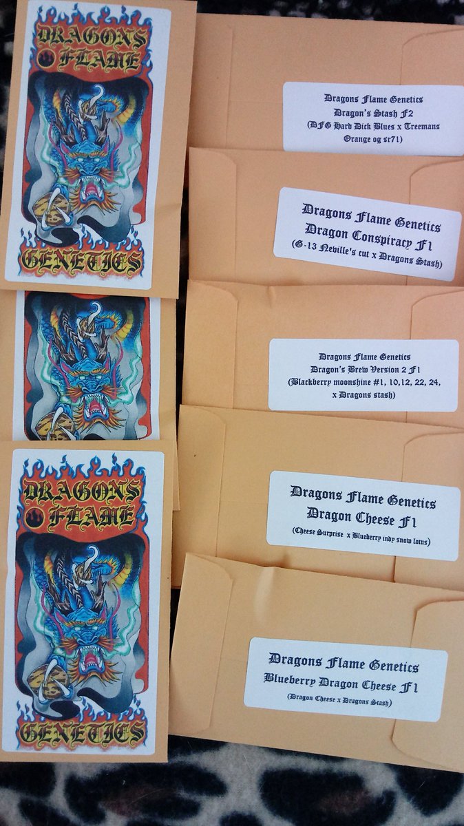 seed_dank's tweet photo. 🔥 🔥⏰ FIRE ALARM ⏰🔥 🔥
Dragons Flame Genetics
(11) Regular seeds per pack
Also comes with 1 or more (11) pack freebies of DFG
#blueberrydragoncheese #dragoncheese #dragonsbrew #dragonconspiracy #dragonsstash
Freebs
#pandragon #missysstash #whitetahoecookies #redbulgarian https://t.co/MqSjOldrn2