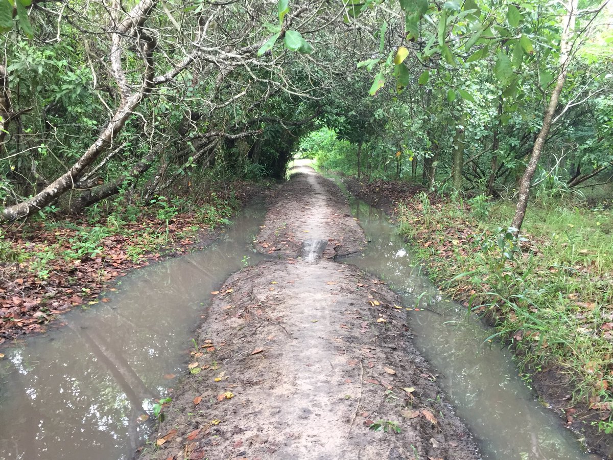 agrisolos's tweet photo. After the rains. Dondo, Sofala, Mozambique #summerrains #Mozambique #Africa https://t.co/8kNKwj9JP1