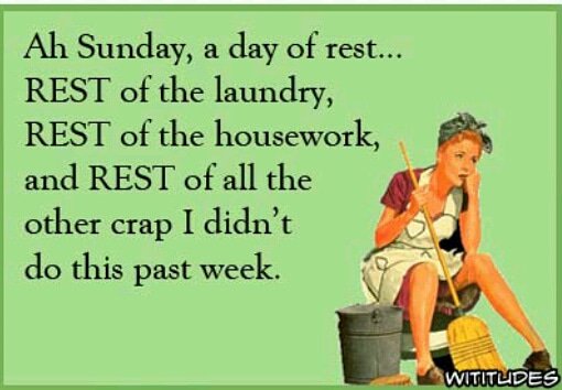 creasescobwebs's tweet photo. Are you fed up with spending your Sunday doing this 👇 why not give us a try?  Options to suit all budgets, no contract tying you in, friendly cleaners, High standards. Once you try us you will never look back. 😀 https://t.co/A1aDpmLAOV