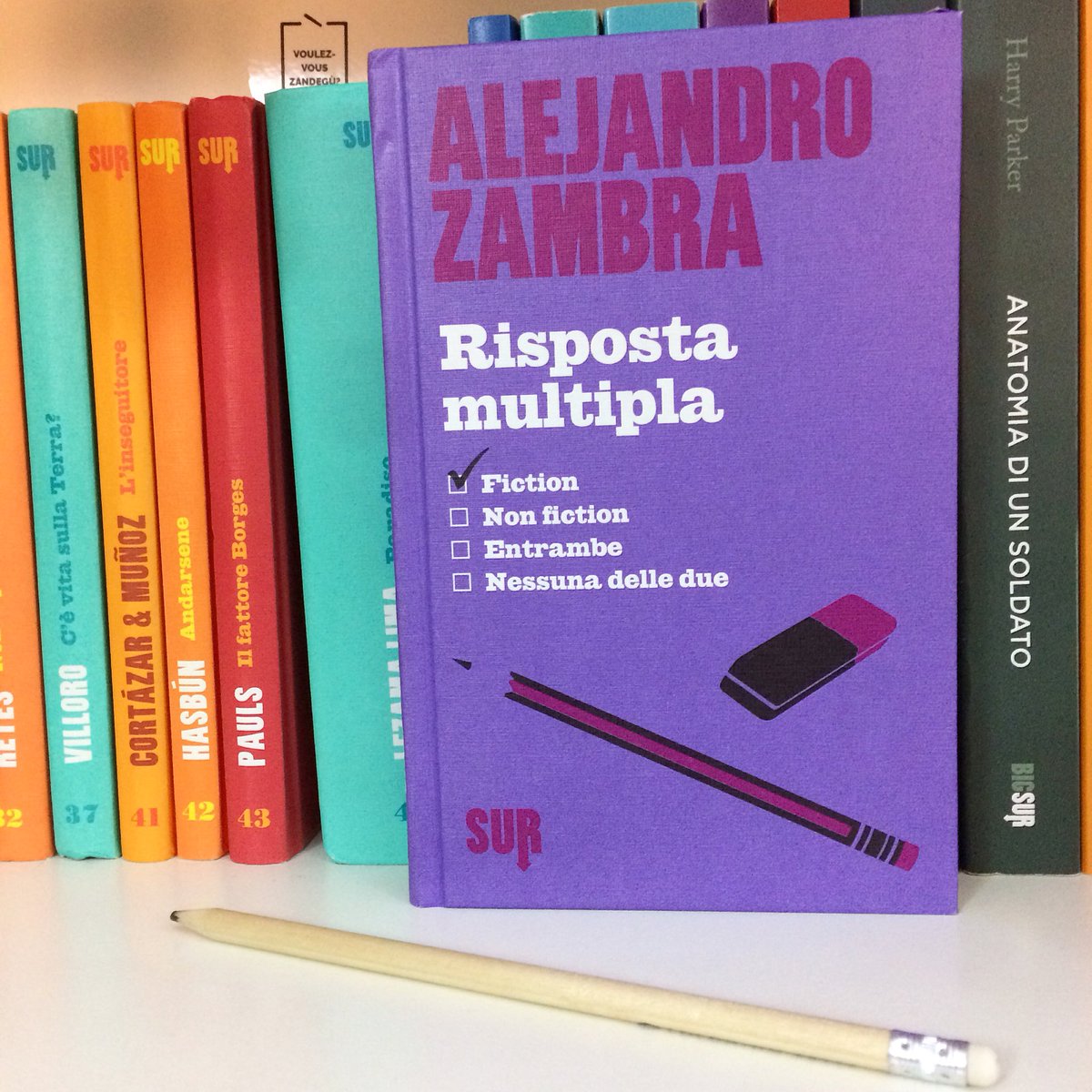 AndreaPennywise's tweet photo. Devo nuovamente ammetterlo, @DianaDi87 aveva ragione. Questo libro è un gioiello di originalità, di brutalità e poesia.
Ho sognato per tutta la notte la #RispostaMultipla di #AlejandroZambra 📝💜 https://t.co/9sBWoxxb71