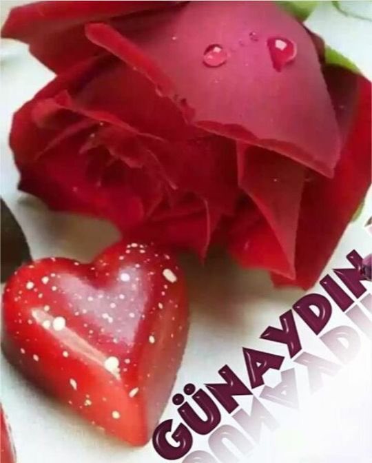 Sell33D's tweet photo. Güzel bir gün olsun günaydınn #Pazar https://t.co/QhJGgm8DCI