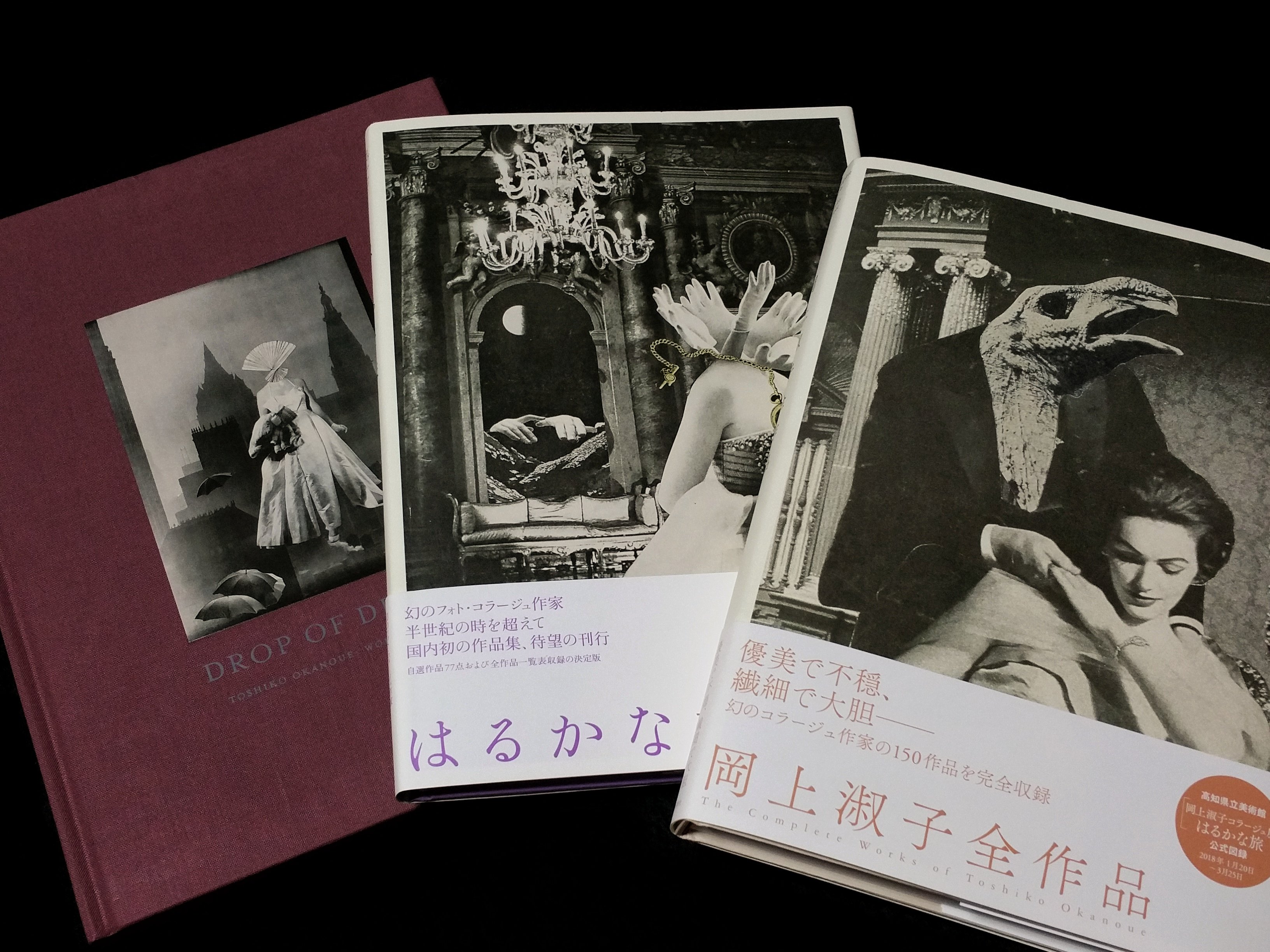 DROP OF DREAMS 遅く 岡上淑子作品集 NAZRAELI PRESS 英語